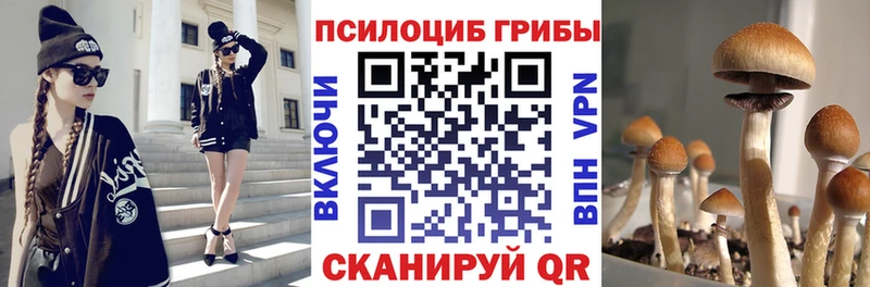 Галлюциногенные грибы MAGIC MUSHROOMS  Ясногорск 